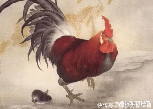 2007年出生的属鸡的人，他们的生肖意义是什么？