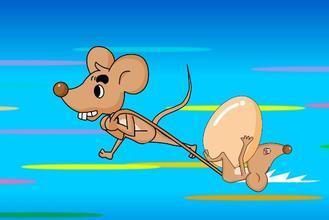 哪个生肖与老鼠最匹配？老鼠拜年鸡难安打一生肖，这是什么生肖？