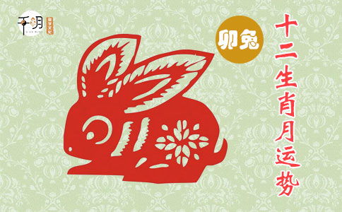 兔年女孩起名指南（烂版）