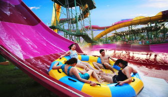 水魔方：夏日狂欢首选