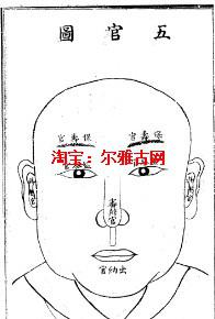 面相学中“相术六十九”第三一部分——技术手段细节较深析报告