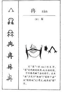 冉字：柔弱、 渐进，温和之意，承载着多重文化底蕴