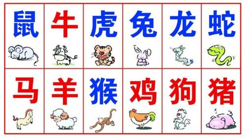二、 生肖属相与十二地支互动探究