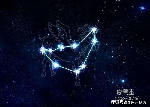 摩羯座：秩序意识驱动下的同理性宽容