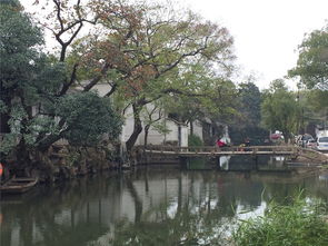 苏州篇：园林不是背景板，  是会讲故事的“老江湖”