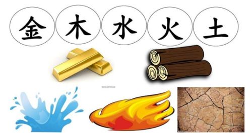 生肖五行49个号码表中的金木水火土分别代表什么含义？