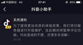 2.1 网名的选择策略：喜好驱动与个性彰显