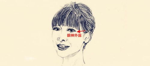 下巴——聚财能力与责任感