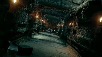 研究背景与问题提出