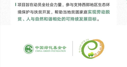 罗浮山禅修活动报名流程与参与要旨的学术解析