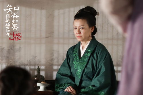 2. 与姑苏慕容家的间接关联