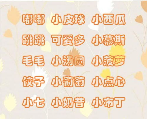 前言：乳名的奇妙旅程——别把它想得太正规