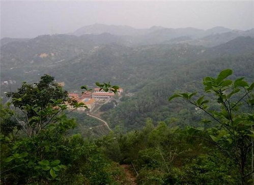 十大祖坟风水大揭秘
