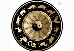 五、 生肖星座视角下的兼容性评估