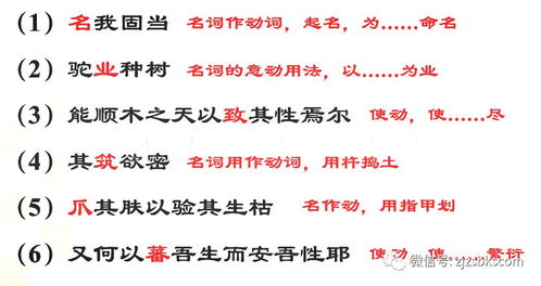 (二) 三傳立法推演