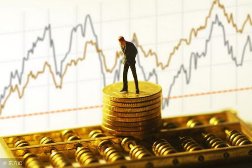 付出与回报之间的平衡：和谐共生的准则