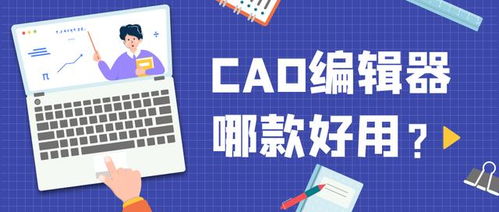 哪款自动算八字软件在准确性上广受好评，被认为最可靠？