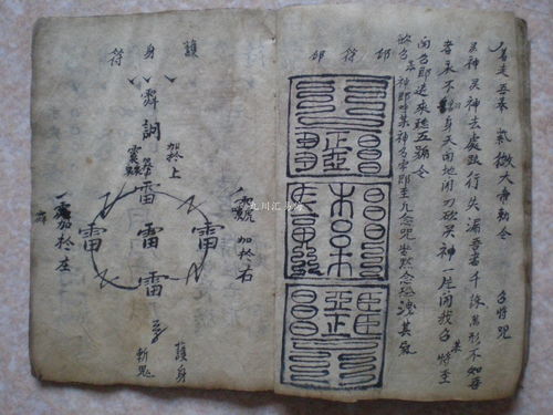摘要