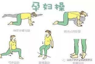 孕妇不宜扫墓的成因机制分析