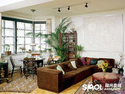 三、色彩搭配与植物选择：营造和谐健康的室内氛围