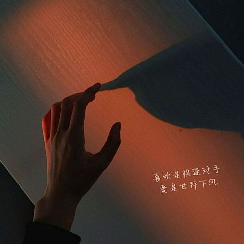 研究背景及意义