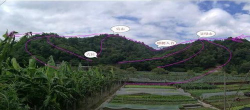 阴宅风水对后代运势的跨代际影响