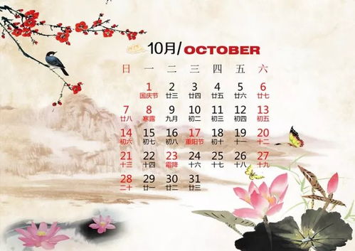 一、 历法与天象背景：乙巳年岁星之位移及其象征意义