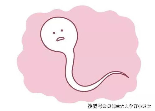 哪个生肖的人心胸狭窄，心胸狭窄的生肖是哪个？