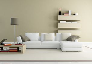 三、  家居选购中的风水实操指南