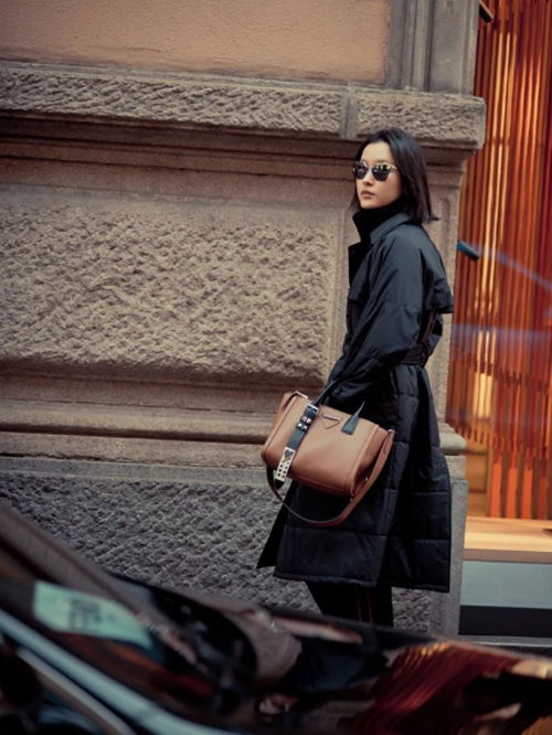 这八字将暗未暗清冷肃杀所蕴含的神秘气息，难道不是预示着一场即将到来的肃杀之局吗？