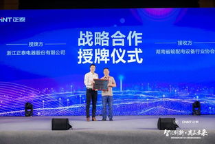 协作伙伴？嗯…碰巧协作了一下