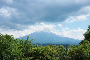 旅游陷阱：当富士山攻略变成一场预算噩梦