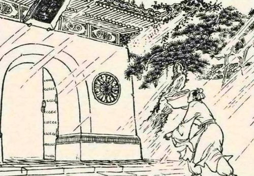 二、 情节发展中的因果关联与象征阐释
