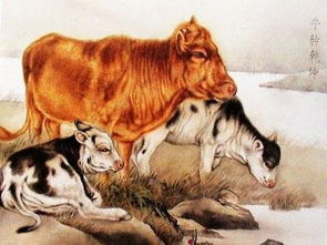 独霸森林的最佳生肖是什么？富甲一方的最佳生肖又是哪个生肖呢？