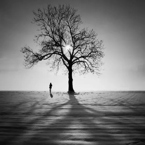 风水与孤独寂寞