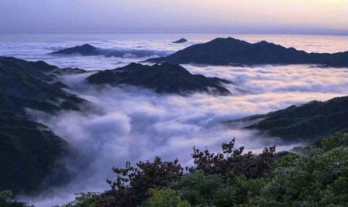 花海景观：美得让人想骂人