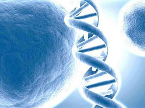 一、  时间维度上的酝酿与心理防线的瓦解