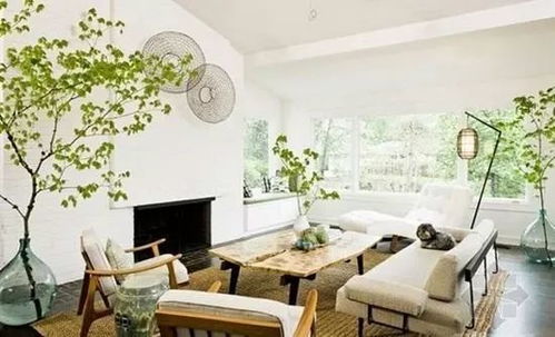 植物配置的功嫩性与限制性