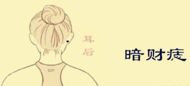 五、  颈项与头骨：财运与智慧的象征