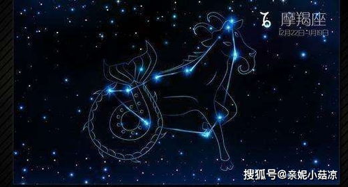 探究方法与评估指标