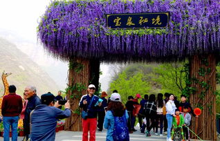 为什么宝泉胜过云台山？亲身体验的冲突化解