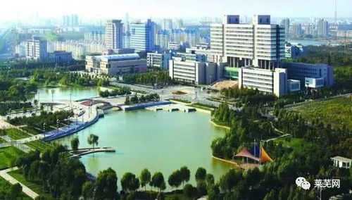 ‘将嘢’和‘湛江的嘢’分别是什么生肖，这两个词在湛江话中是什么意思？