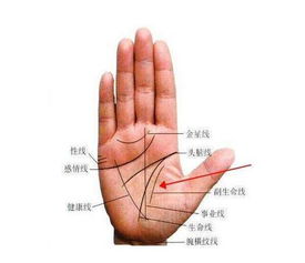 基本概念与理论框架