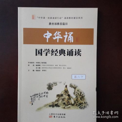 三、 系统学习路径的层次化设计