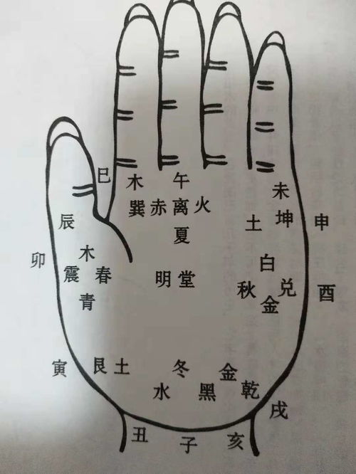 病理机制的深度解析