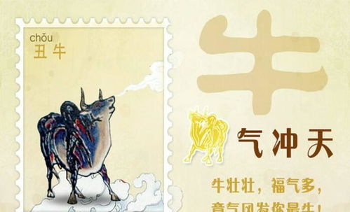 财富运势：中年聚财与审慎理财