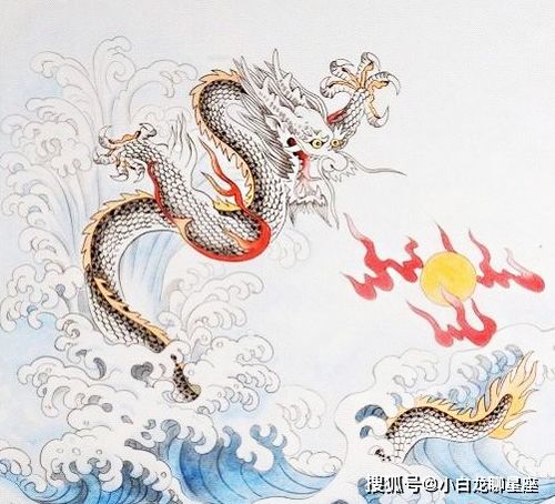 将来龙去脉打一生肖，究竟会是哪个生肖呢？