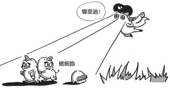 深度剖析：迷信与科学之间的认知偏差