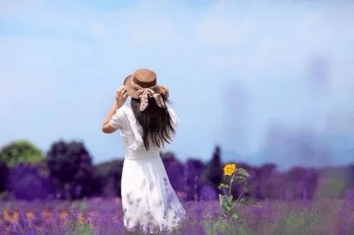 人生轨迹：蜿蜒如河流却始终不失坚持