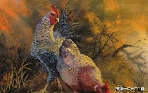 2026年2月属鸡搬家选择吉日有哪些具体日期呢？